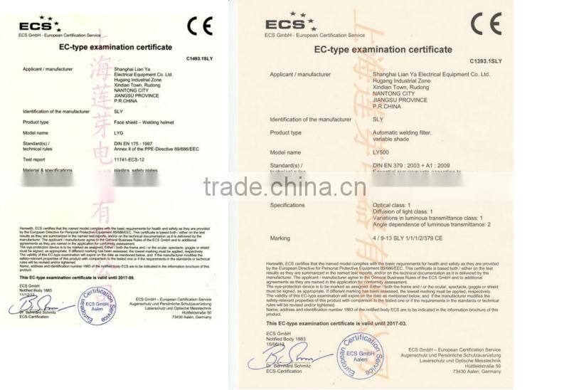 China Solar custom Mig TIG WIG auto darkening welding helmet