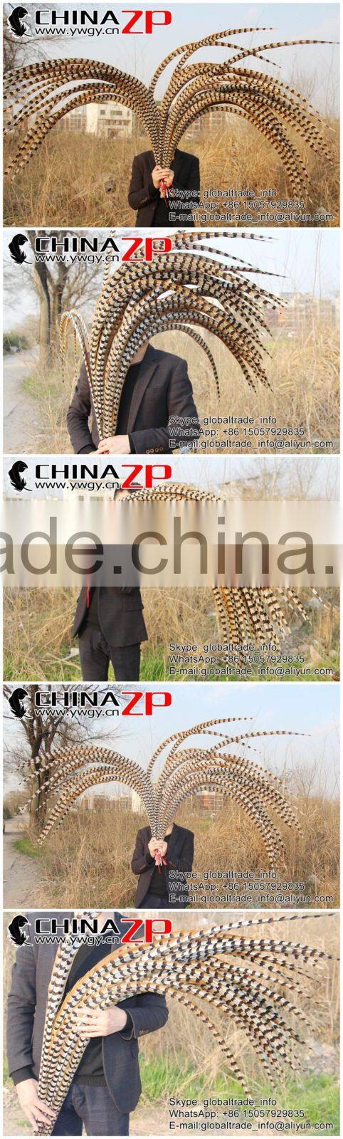 CHINAZP Bulk Sale Selected Prime Quality Natural 5-10cm Size Reeves Venery Pheasant Feathers for DIY Decorations