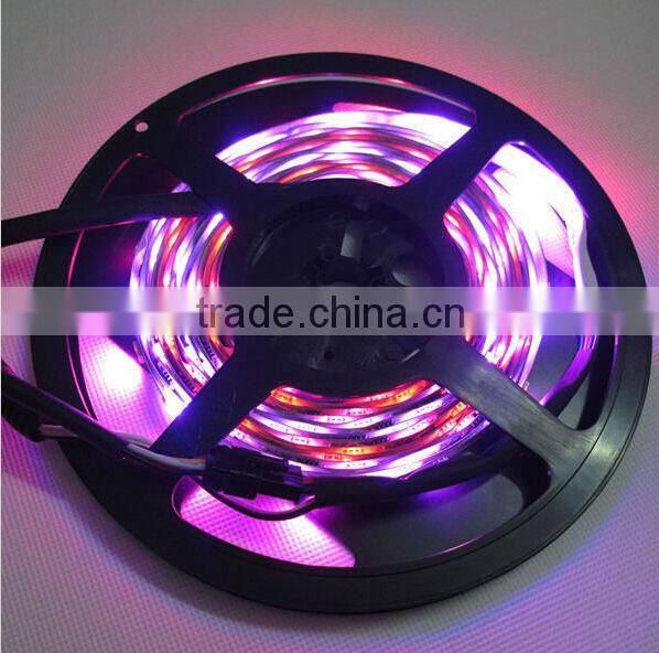 50 50 rgb ws2811 magic led strip