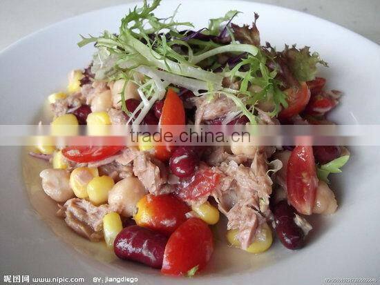 canned tuna chunk in oil manufacturer