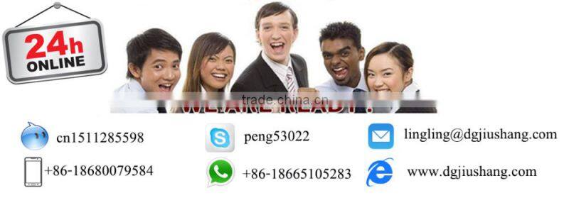 1.0A/2.4A new car charger design for iphone 5s/ipad air(JS-B01)