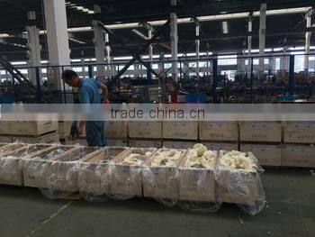 China Supplier ZLYJ Series Power Transmission Part Gear Reducer in Plastic Extruder Mchine