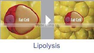 rf + cavitation slimming machine