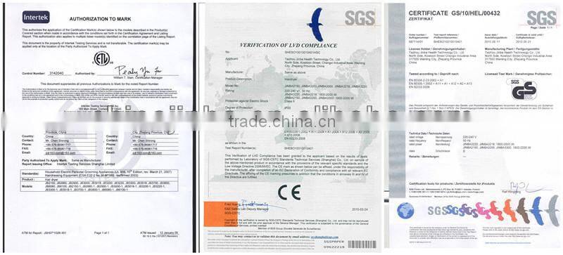 Model 2014 fashion Professional Salon steam hair straightener