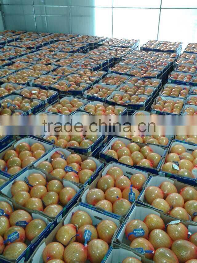 New Crop Honey Pomelo