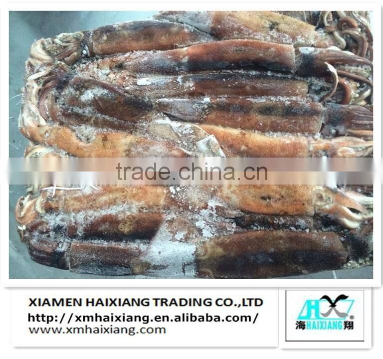 Frozen Chinese argentina squid for sale