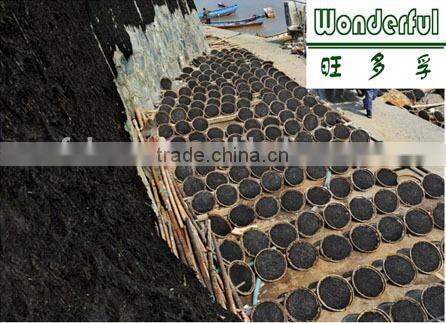 Roasted seaweed,onigiri nori,korean seaweed,dried seaweed buyer