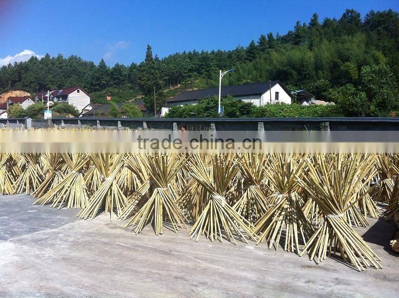 bamboo stake poles for orchard plant tree supporting