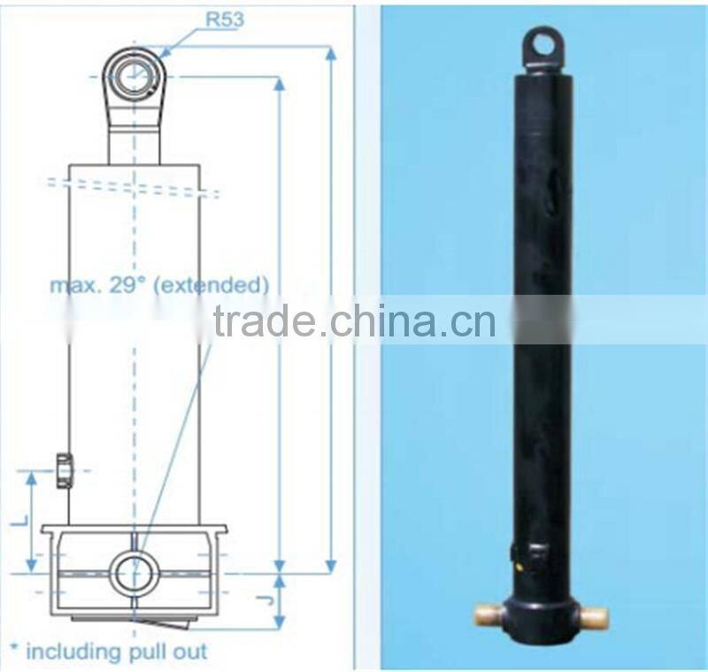 FE type hyva model hydraulic cylinder for tipper