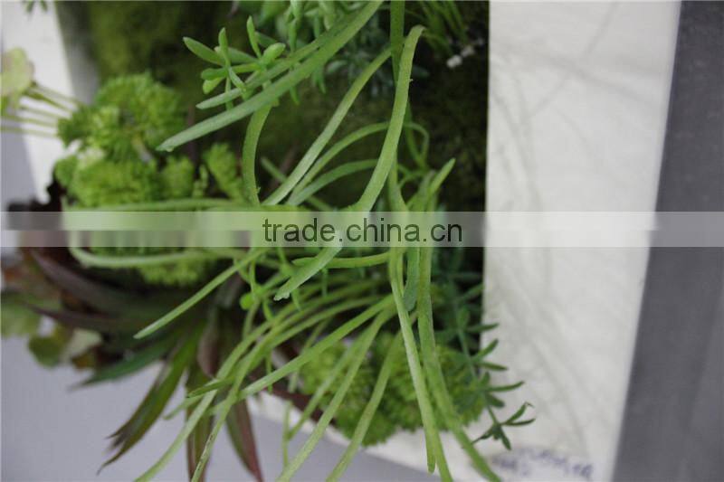 for home garden tiles deco 30*30*7cm paint color indoor artificial succlent boutique plant wall laminate combinations Ejq10 1205