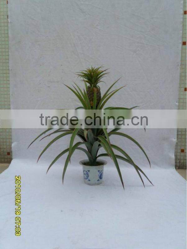 china new products,mini bonsai,artificial Pineapple bonsai