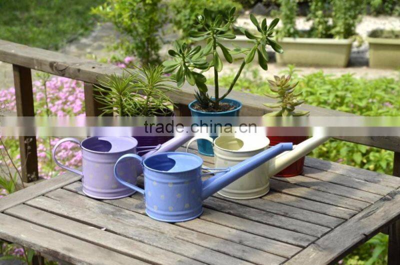 New style metal watering can with printing