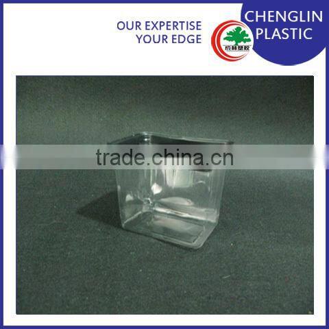 clear plastic creative fruit tray