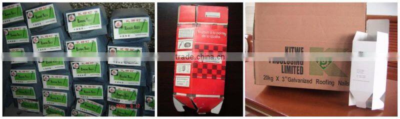 E.G. umbrella head roofing nails with low price from china