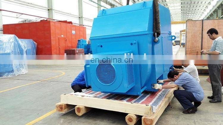 11KV high voltage three phase induction motor