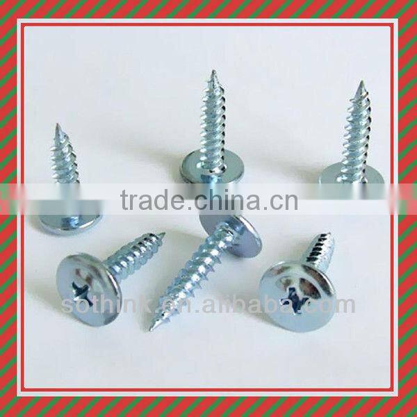 self tapping screws,stainless steel tapping screw (reasonable price)