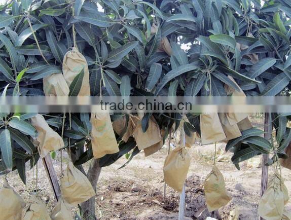 Malaysia Vietnam Sri Lanka kraft paper mango protection bag