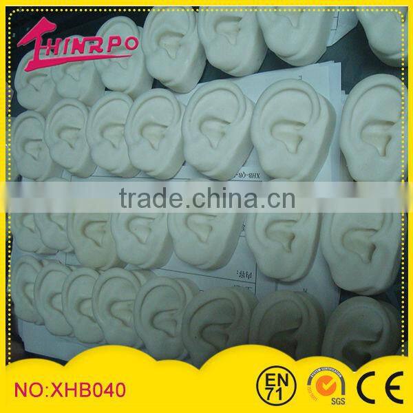 Artificial 3D Display Ears Models Silicone Material High imitation