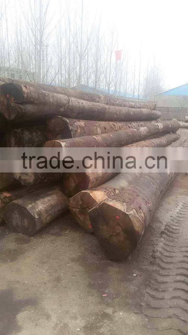 Rotary cut red beech veneer for wardrobe