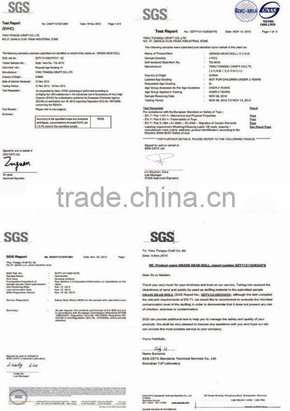 mini green plants magic bean with words in promotions