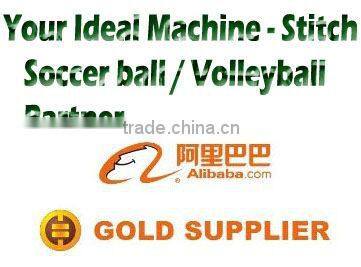 soccer balls professional