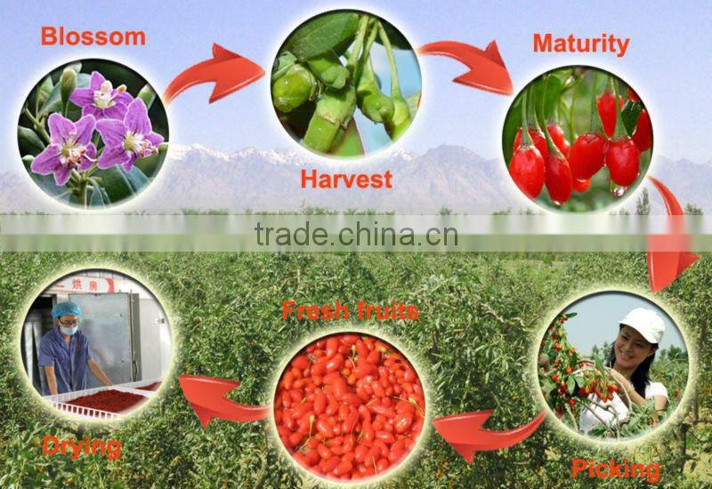 natural gojiberry 280grains/50g