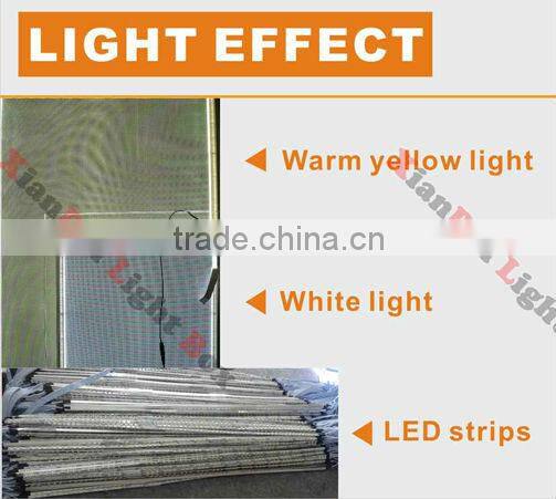 LED backlit light box