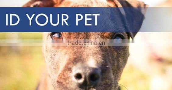 Factory price RFID Animal EID Tag For Tracking Livestock and Pet