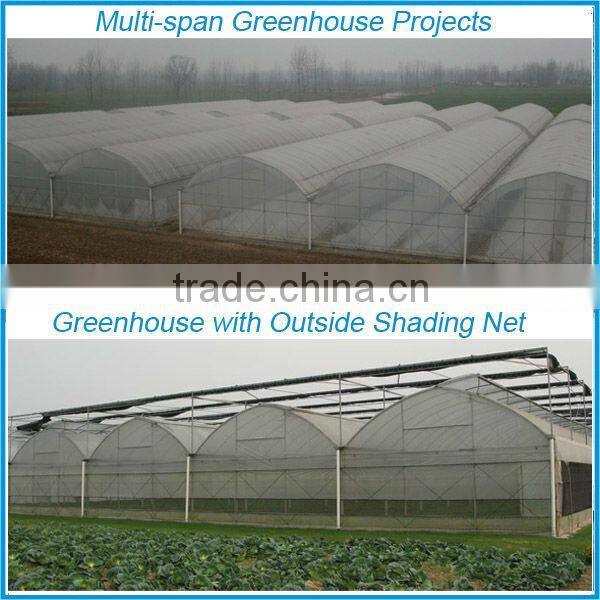 Factory price of agricultural greenhouse,multi span greenhouse for Tomato