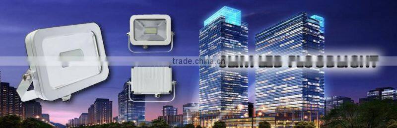 Portable led rechargeable flood light 10w and led work light
