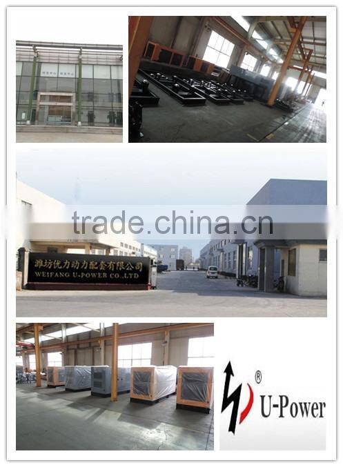 Parall 1000 kw natural gas generator in favorable price