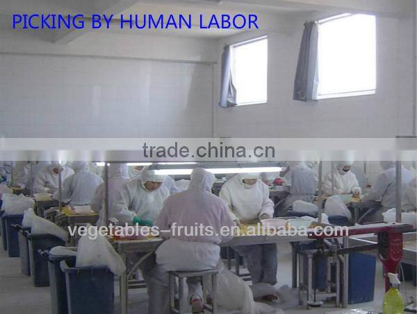 New crops AD garlic flakes