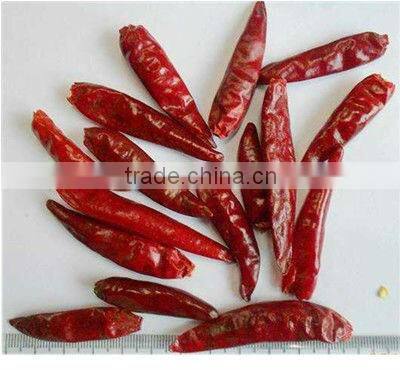 dry red new generation chili