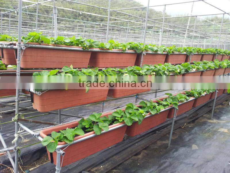 hydroponic NFT growing system greenhouse