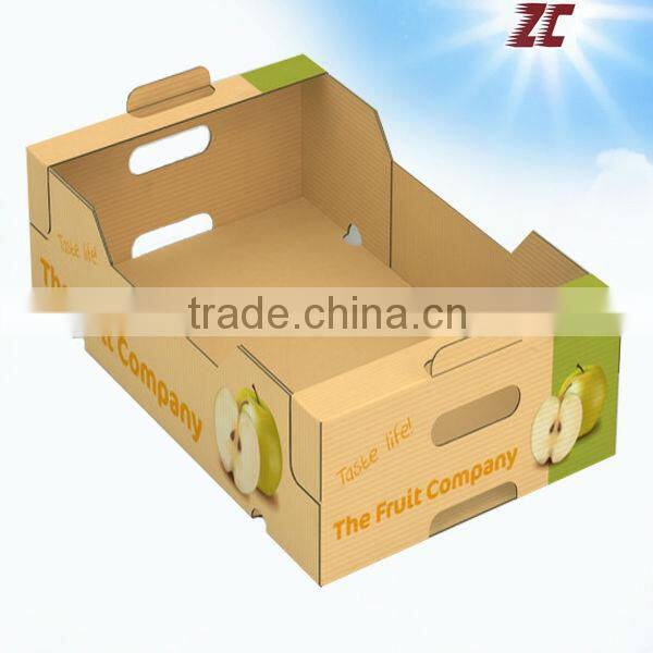 Wholesale Strong Fruit Carton Box for Apple ,Apple Fruit Packaging Box, Carton Box for Fruits