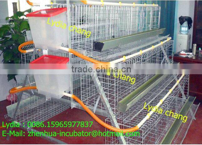 Nigeria chicken farm hot sale layer poultry battery cages (whatsapp : +86 159 6597 7837)