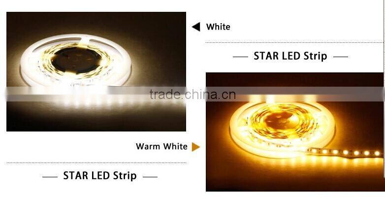 12v 3528 60LED/m IP67 Waterproof Flexible LED Strip Lighting
