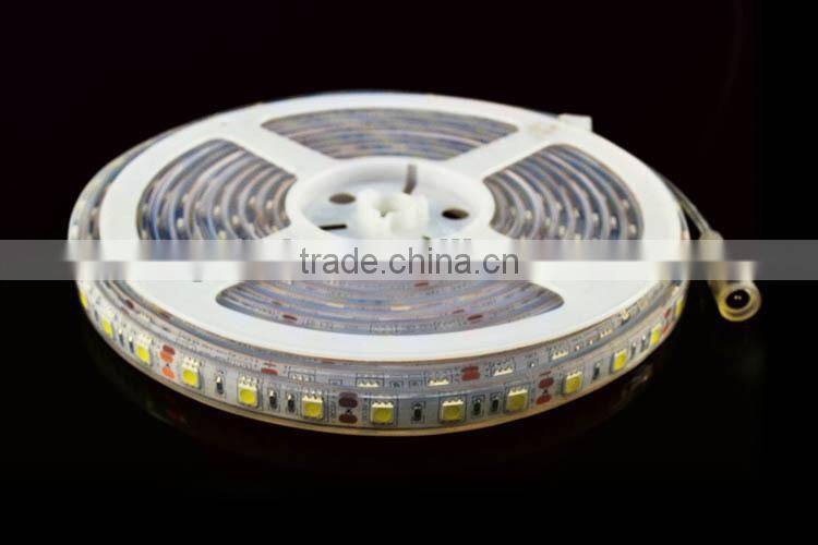 DC12V 24V SMD 5050 60leds/m IP66 Waterproof swimming pool led strip lighting