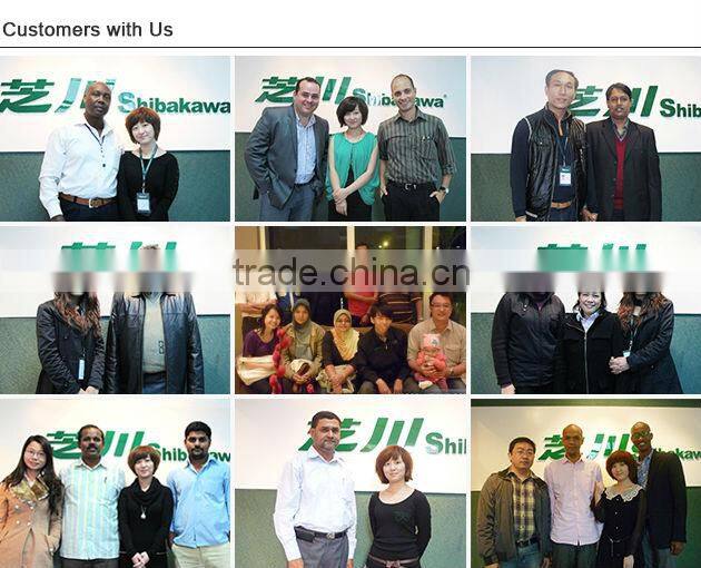 priport ricoh ink HQ40 compatible ink for printing