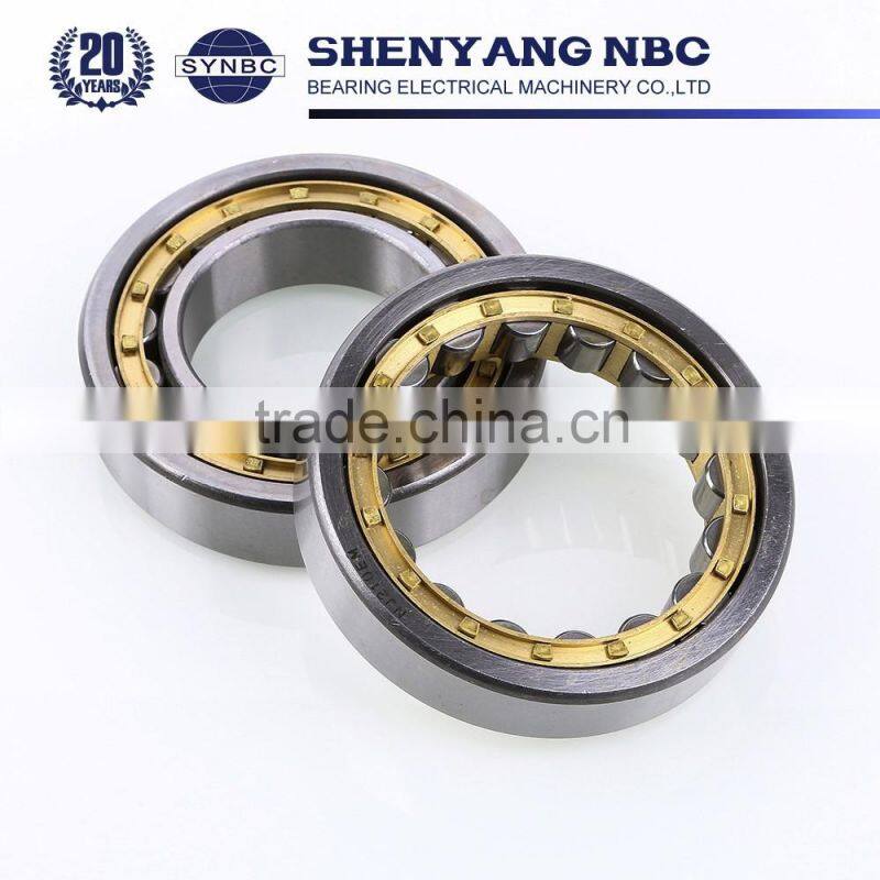 Cylindrical Roller Bearing Made of Chrome Steel Gcr15 NU303 NU204 NU205