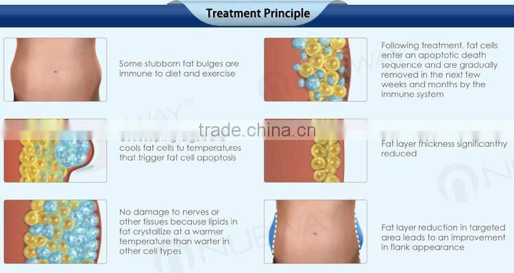 5 cryo treatment handles fat freeze coolshape fat freezing liposuction cryo cryotherapy crylipolysis machine with cavitation