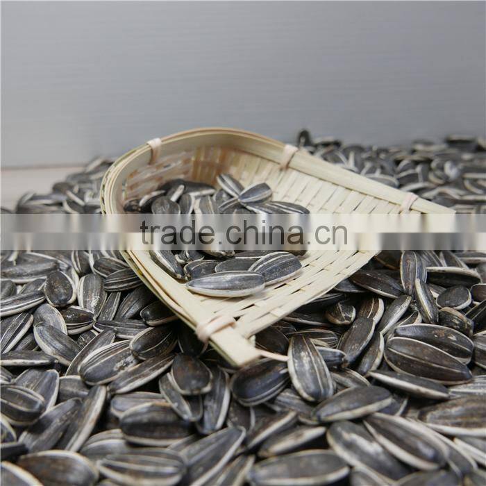 Hulled hybrid of Sunflower Seeds China Origin 5009 New corp
