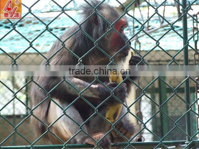 China pvc coated stainless steel wire mesh chain link fence rubber/black powder coated chain link fence