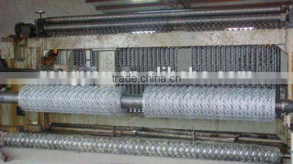PVC Coated Hexagonal Wire Mesh/Plastic Coated Hexagonal Wire Mesh made in china