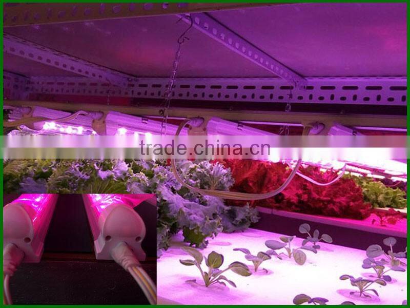 cheap but good full spectrum led grow lights 20W best led lamp for hydroculture