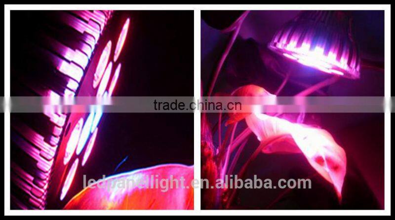 factory price 36w par replacement led grow bulbs