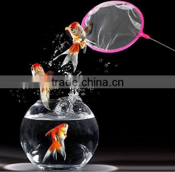 small landing net for aquarium goldfish