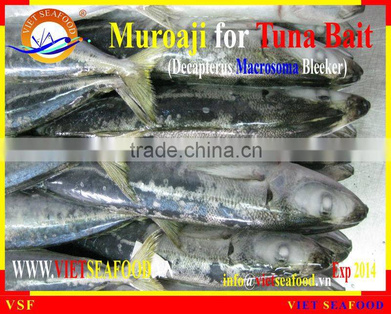 MUROAJI FOR TUNA BAIT FROZEN