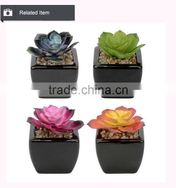 Artificial mini aloe little plants succulents plants artificial mini succulents