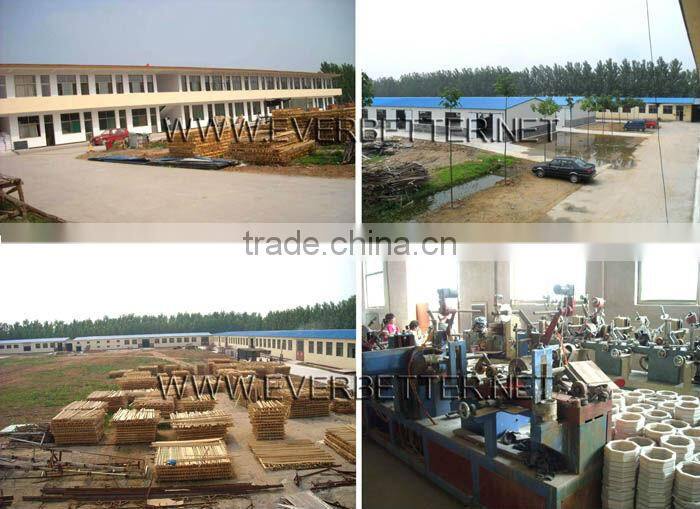 Silver frame mirror, French mirror frames